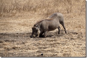 DSC062881_bearbeitet-12